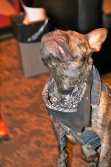 internext18_dayone_153